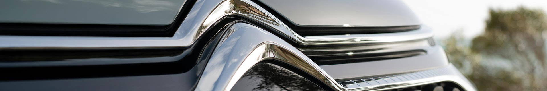 /i/Images/citroen/Cat_Citroen_8.jpg